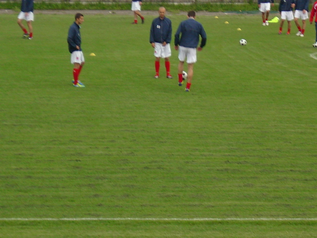 Pokošena trava leži na terenu