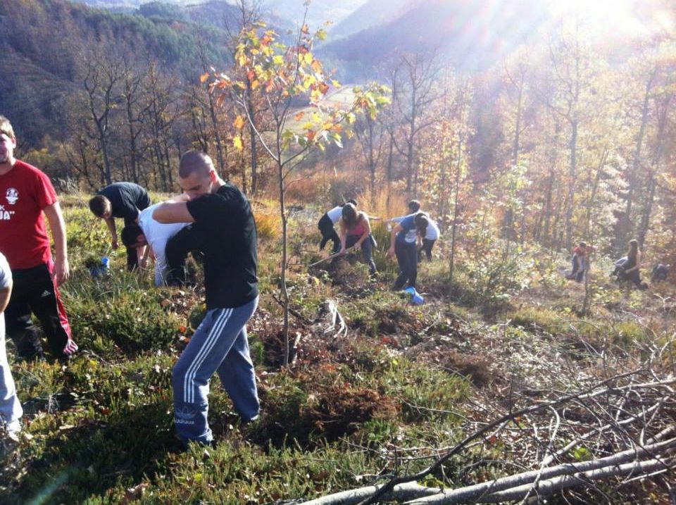 Akcija Lets do it - Milion sadnica za jedan dan