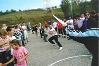 Sokoli na viteškom polju 