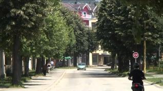 Uklanjanje suvih stabala (VIDEO)