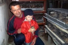 Uzgoj japanske prepelice unosan posao