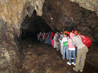 Čuvar rijetkog podzemnog blaga