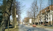 Program manifestacija povodom obilježavanja Dana opštine